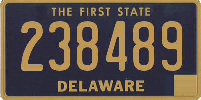 DE license plate 238489