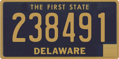 DE license plate 238491