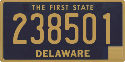 DE license plate 238501