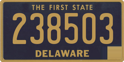 DE license plate 238503