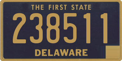 DE license plate 238511