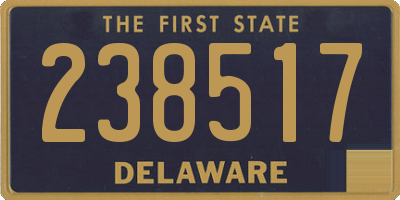 DE license plate 238517