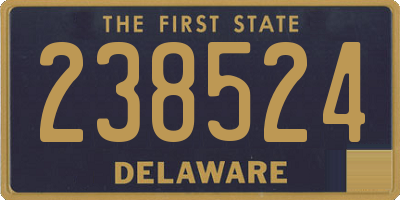 DE license plate 238524