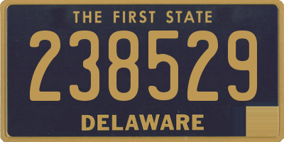 DE license plate 238529