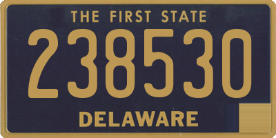 DE license plate 238530