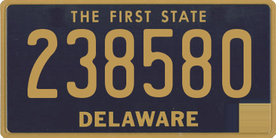 DE license plate 238580