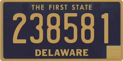 DE license plate 238581