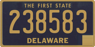 DE license plate 238583