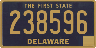 DE license plate 238596