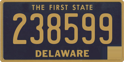 DE license plate 238599