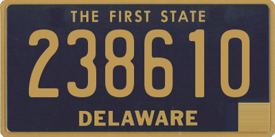 DE license plate 238610