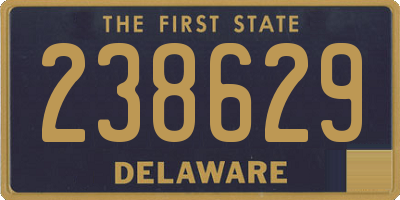 DE license plate 238629