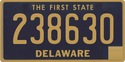 DE license plate 238630