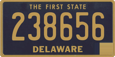 DE license plate 238656