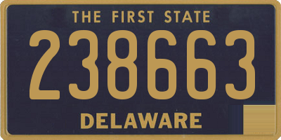 DE license plate 238663