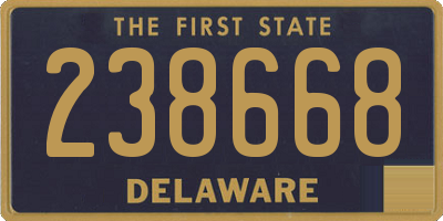 DE license plate 238668