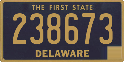 DE license plate 238673