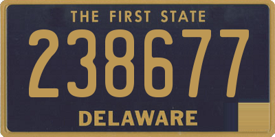 DE license plate 238677