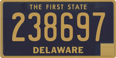 DE license plate 238697