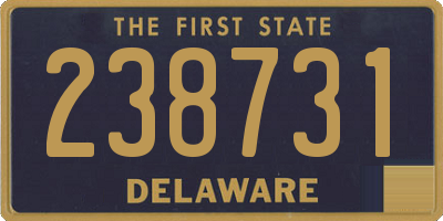 DE license plate 238731