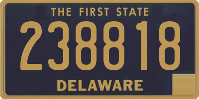 DE license plate 238818