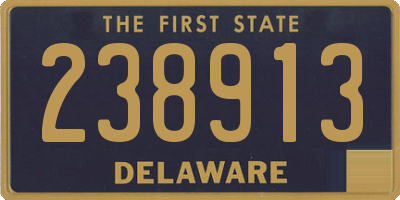 DE license plate 238913