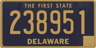 DE license plate 238951