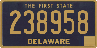 DE license plate 238958