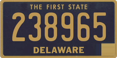 DE license plate 238965
