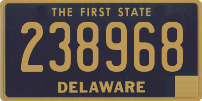 DE license plate 238968
