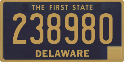DE license plate 238980