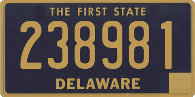 DE license plate 238981