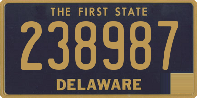 DE license plate 238987
