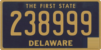 DE license plate 238999