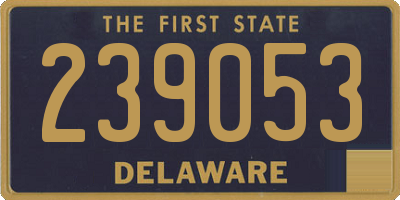DE license plate 239053
