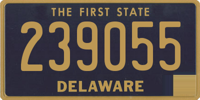 DE license plate 239055