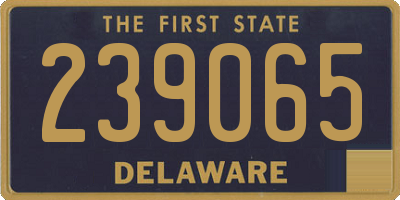 DE license plate 239065