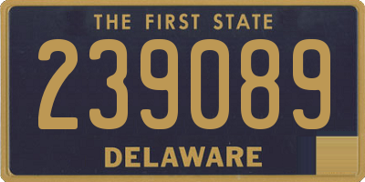 DE license plate 239089