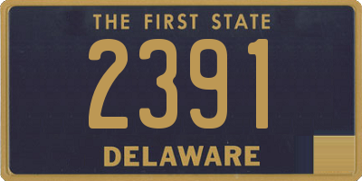 DE license plate 2391