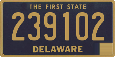 DE license plate 239102