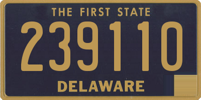 DE license plate 239110