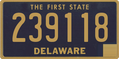DE license plate 239118