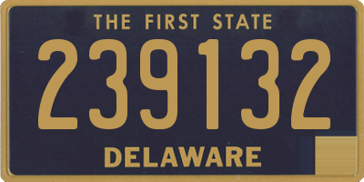 DE license plate 239132