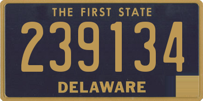 DE license plate 239134