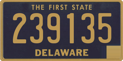 DE license plate 239135