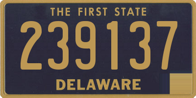 DE license plate 239137