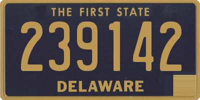 DE license plate 239142