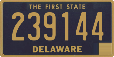 DE license plate 239144