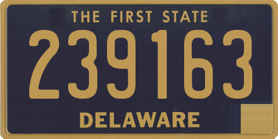 DE license plate 239163