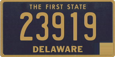 DE license plate 23919